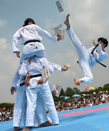 Taekwondo